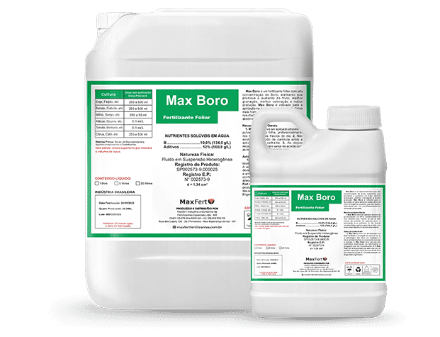 Max Boro 10